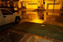 Rain ... Rain ... Palacio